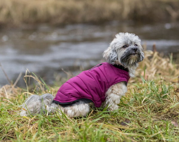 manteau Arlay, baie