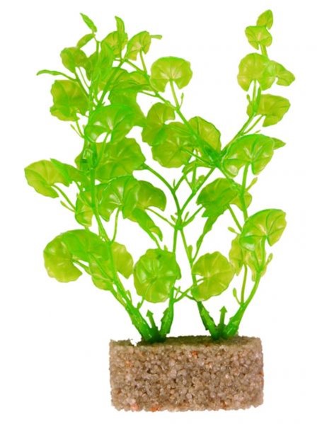 Plastic plant with sand base, 12cm