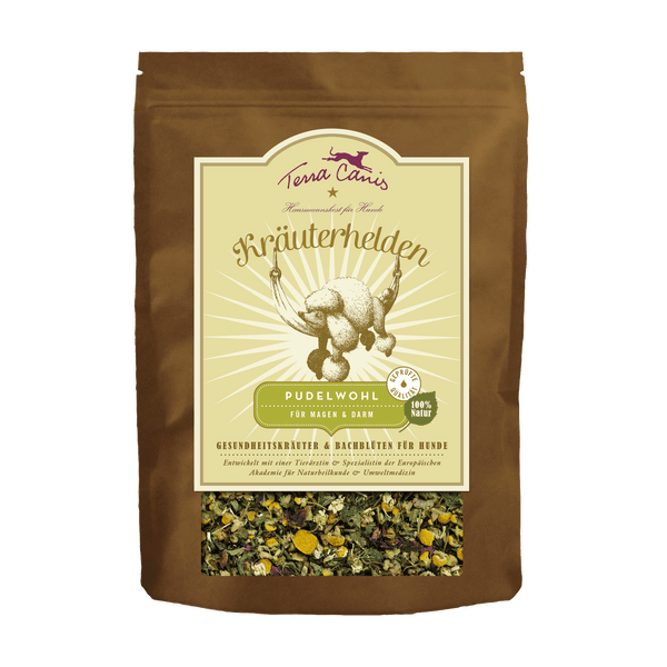 Herbal Heroes, Stomach and Intestinal Well-being