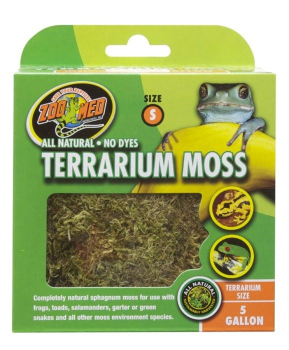 Terrarium Moss