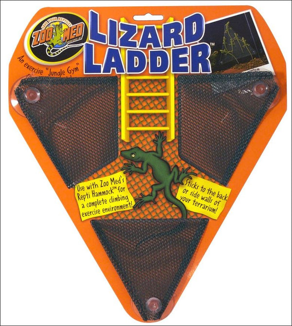 Lizard scale