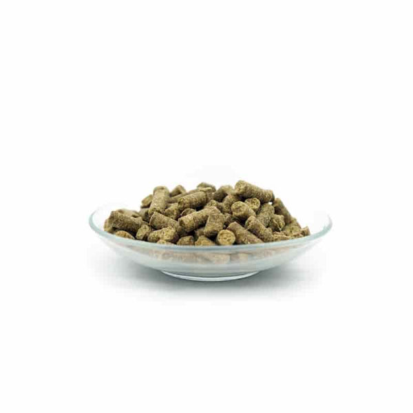 Naturgut-Schmaus - Hypoallergenic natural food, insects